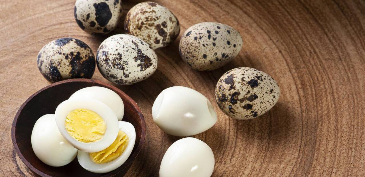 Os ovos de codorniz são saudáveis?